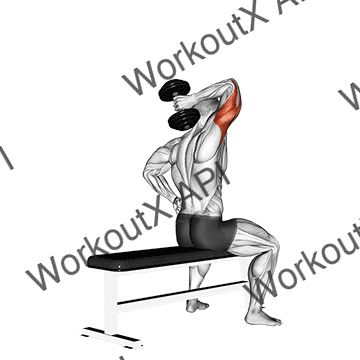 Dumbbell One Arm Triceps Extension (on Bench) animated GIF