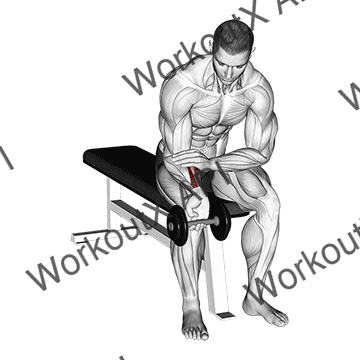 Dumbbell One Arm Wrist Curl animated GIF