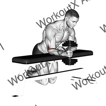 Dumbbell Over Bench One Arm Neutral Wrist Curl animated GIF