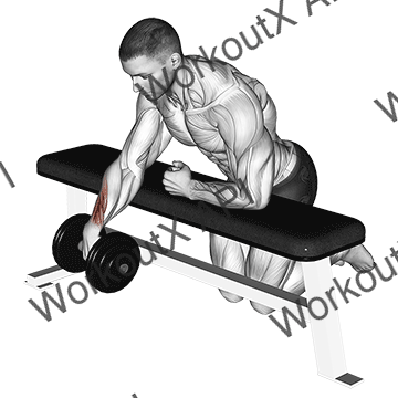 Dumbbell Over Bench One Arm Wrist Curl animated GIF