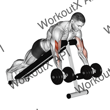 Dumbbell Prone Incline Curl animated GIF