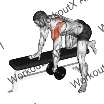 Dumbbell Rear Delt Row (shoulder) animated GIF