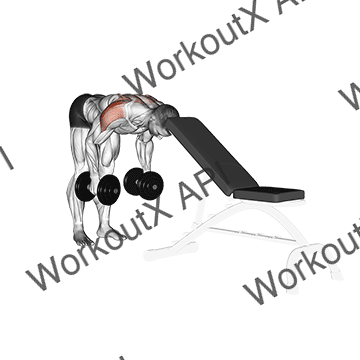 Dumbbell Rear Lateral Raise (support Head) animated GIF