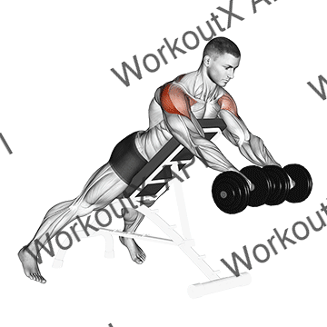 Dumbbell Rotation Reverse Fly animated GIF