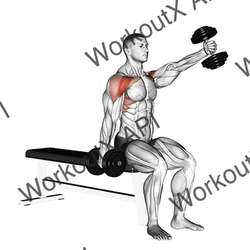 Dumbbell Seated Alternate Front Raise animated GIF