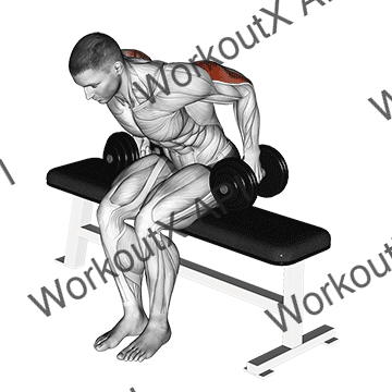 Dumbbell Seated Kickback animated GIF