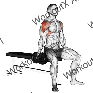 Dumbbell Seated Lateral Raise animated GIF