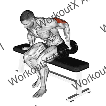 Dumbbell Seated One Arm Kickback animated GIF
