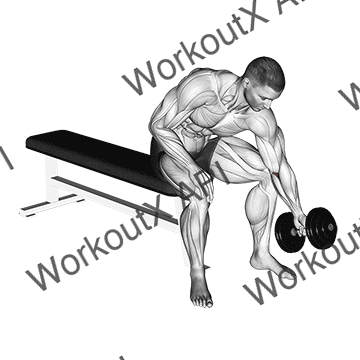 Dumbbell Seated One Arm Rotate animated GIF