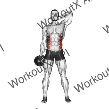 Dumbbell Side Bend animated GIF