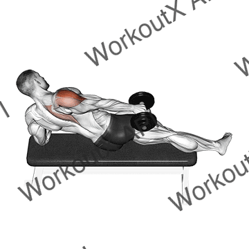 Dumbbell Side Lying One Hand Raise animated GIF