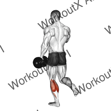 Dumbbell Single Leg Calf Raise animated GIF