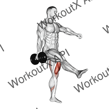 Dumbbell Single Leg Squat animated GIF