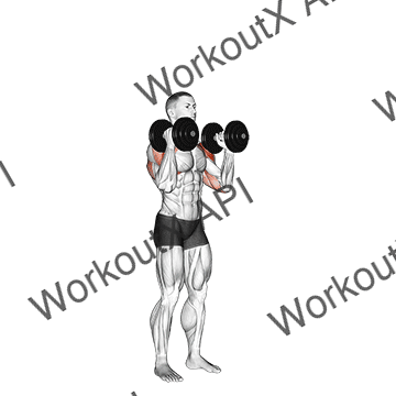 Dumbbell Standing Alternate Overhead Press animated GIF