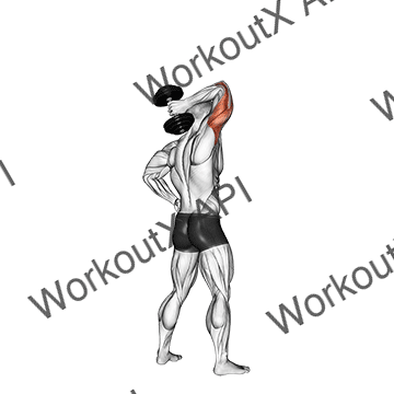 Dumbbell Standing One Arm Extension animated GIF