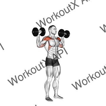 Dumbbell Standing Overhead Press animated GIF