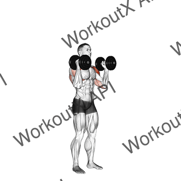 Dumbbell Standing Palms In Press animated GIF