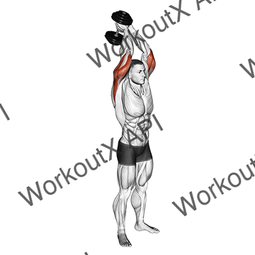 Dumbbell Standing Triceps Extension animated GIF