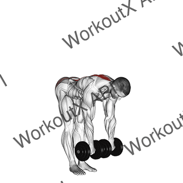 Dumbbell Straight Leg Deadlift animated GIF