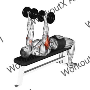 Dumbbell Tate Press animated GIF