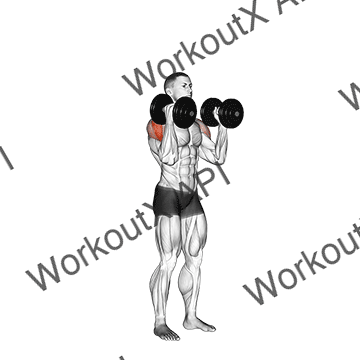 Dumbbell W-press animated GIF