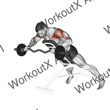 Ez Barbell Anti Gravity Press animated GIF