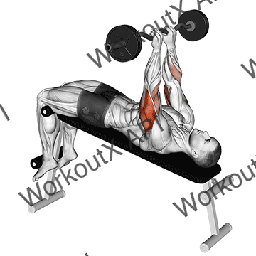 Ez Barbell Decline Close Grip Face Press animated GIF