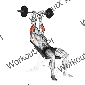 Ez Barbell Incline Triceps Extension animated GIF