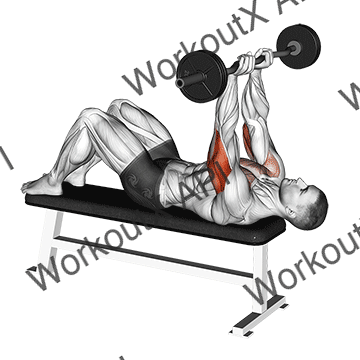 Ez Barbell Jm Bench Press animated GIF