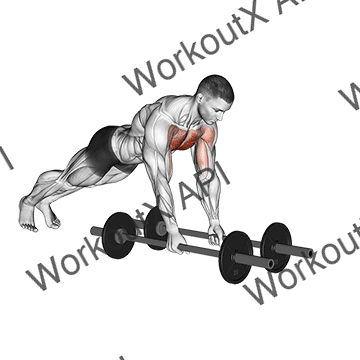 Floor Fly (with Barbell) animated GIF