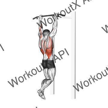 Gironda Sternum Chin animated GIF