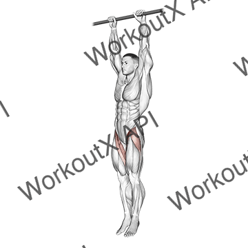 Hanging Leg Raise animated GIF