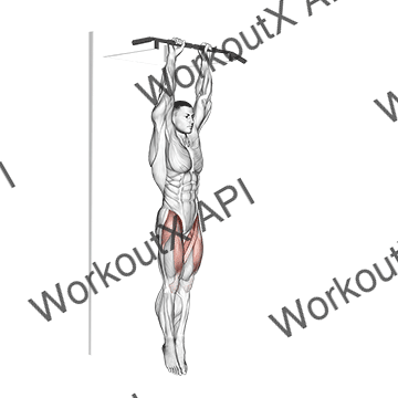 Hanging Straight Leg Raise animated GIF