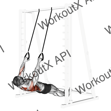 Inverted Row With Straps animated GIF