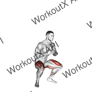 Jump Squat animated GIF