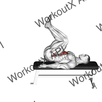 Leg Pull In Flat Bench animated GIF