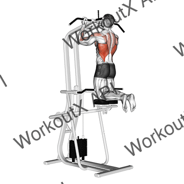 Lever Assisted Chin-up animated GIF