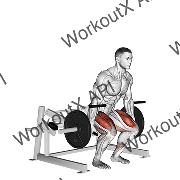 Lever Deadlift animated GIF