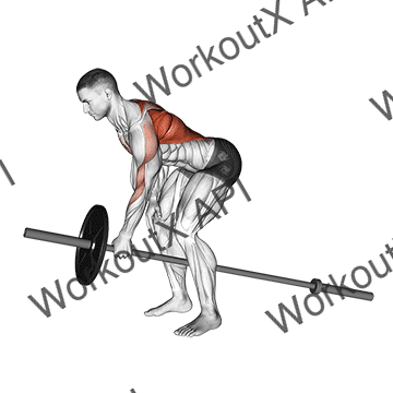 Lever One Arm Bent Over Row animated GIF