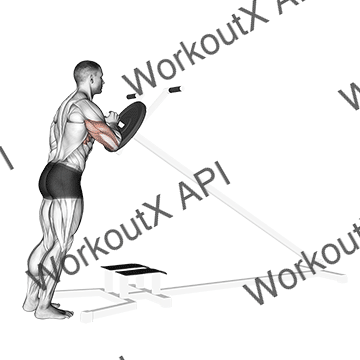 Lever One Arm Shoulder Press animated GIF