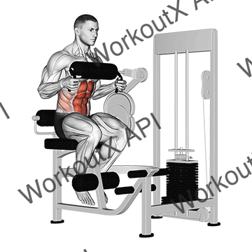 Lever Seated Crunch (chest Pad) animated GIF