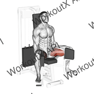 Lever Seated Hip Adduction animated GIF