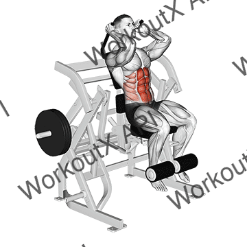 Lever Seated Leg Raise Crunch animated GIF