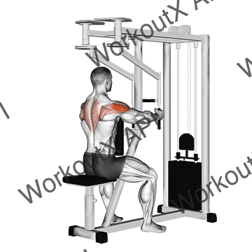 Lever Seated Reverse Fly (parallel Grip) animated GIF
