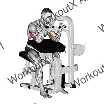 Lever Triceps Extension animated GIF
