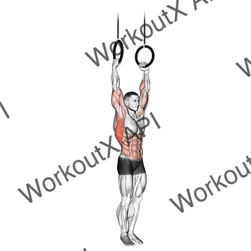 Muscle Up animated GIF