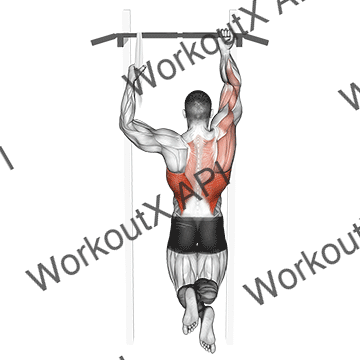 One Arm Chin-up animated GIF