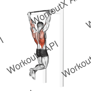 Pull-up animated GIF