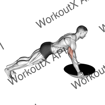 Push-up (bosu Ball) animated GIF