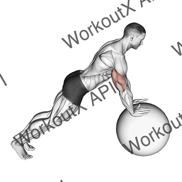 Push-up (on Stability Ball) animated GIF
